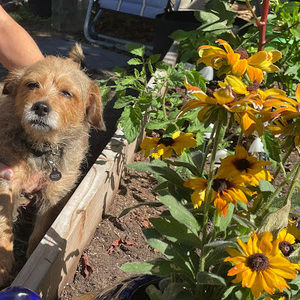 Meet your Posher, Carter